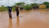 Heavy rainfall harming agriculture