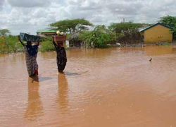 Heavy rainfall harming agriculture