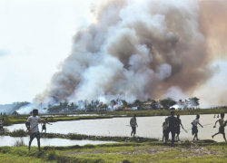 Entire Rohingya Neighborhood Burned Down, HRW Says